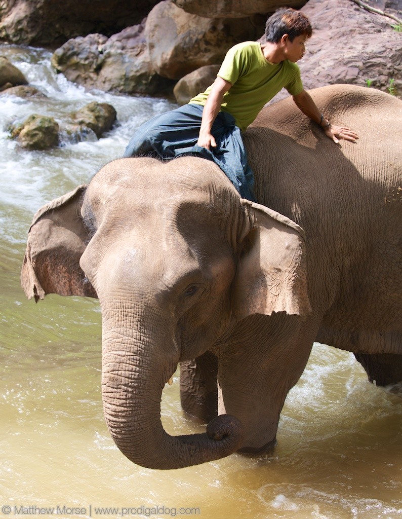 Elephant Camp Ride