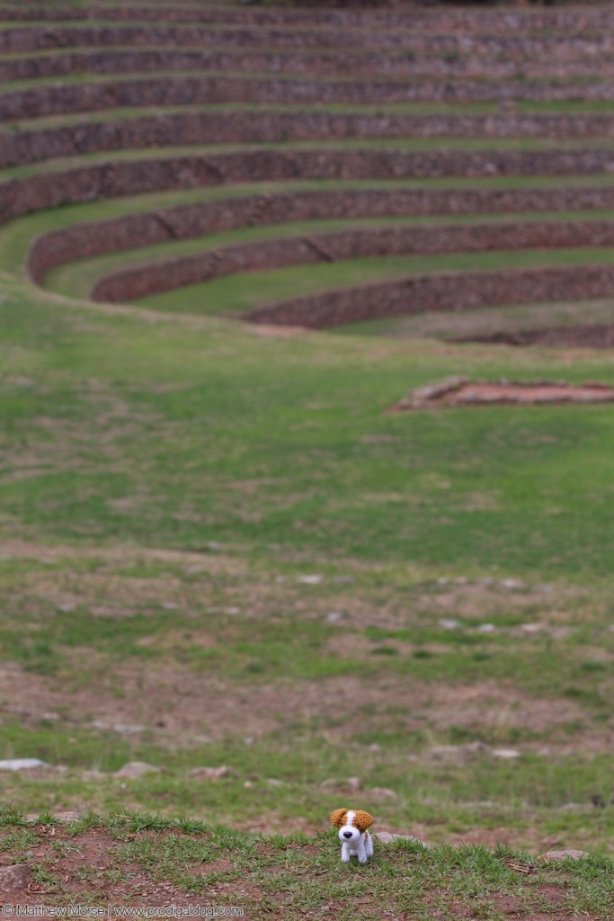 Our site mascot explores the Moray Inca site!